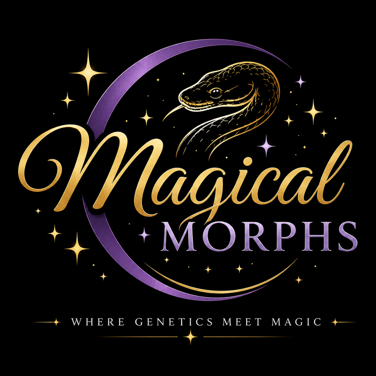 Magical Morphs