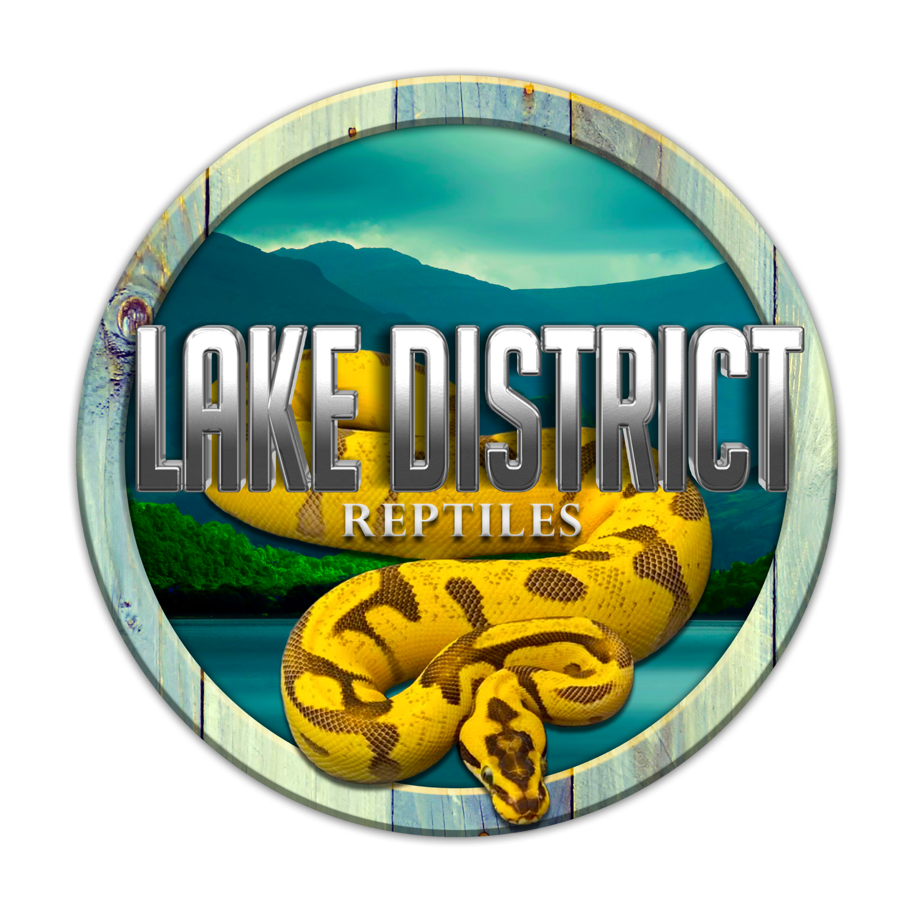 Lake District Reptiles