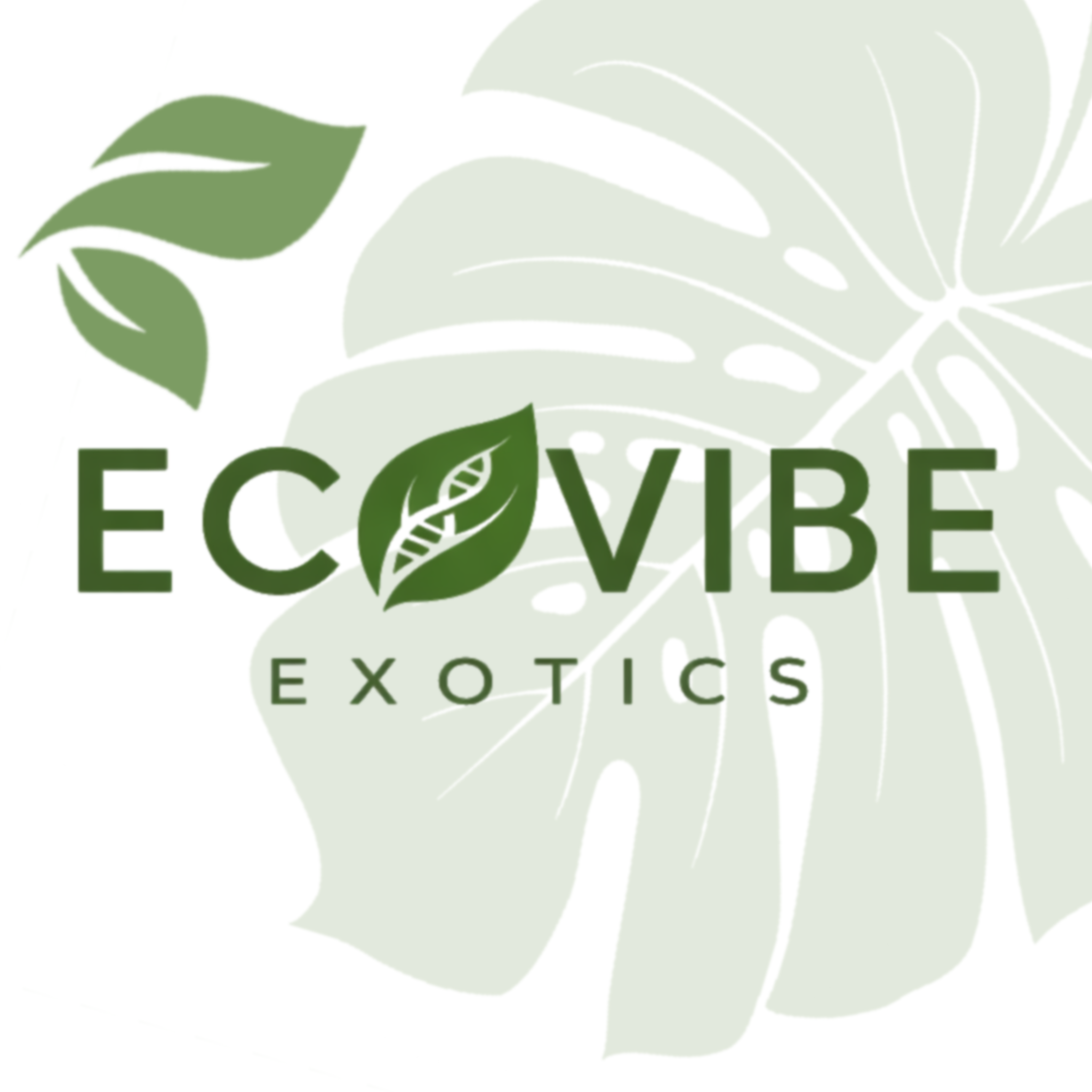 EcoVibe Exotics